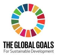 Global Goals Logo